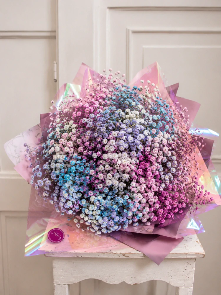 Pastelová gypsophila – Maxi