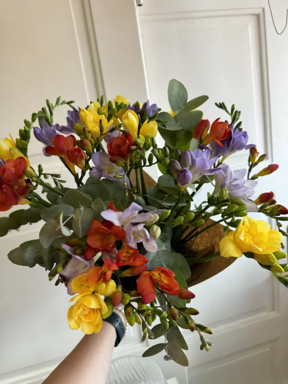 Kytice 30ks frésií