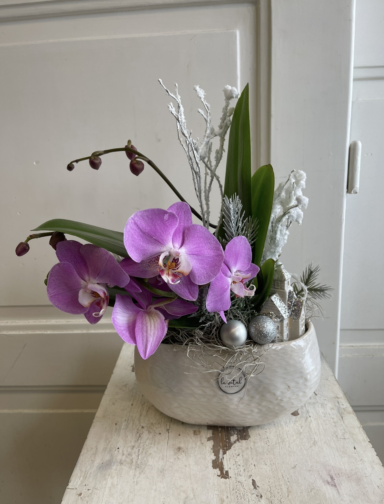 Zimní dekorace s orchidejí v  podlouhlé nádobě