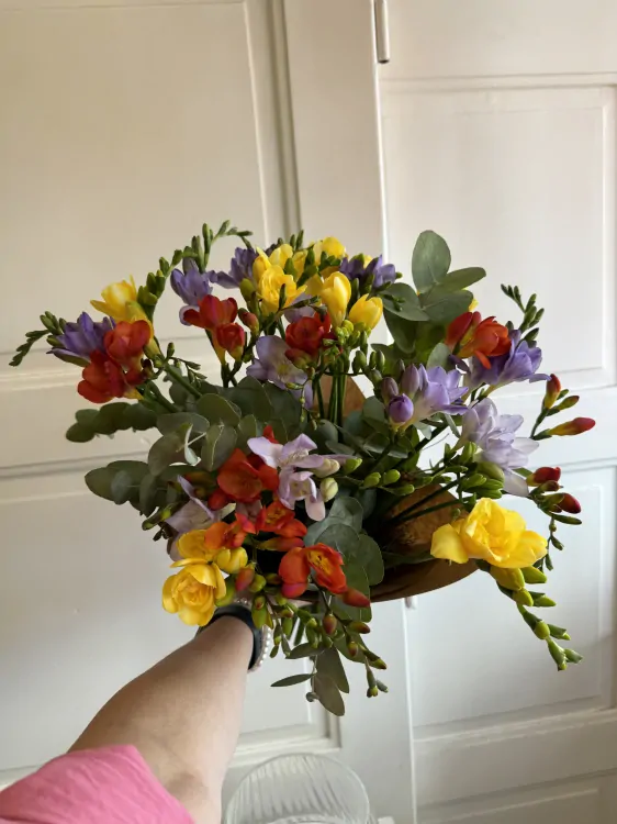 Kytice 30ks frésií