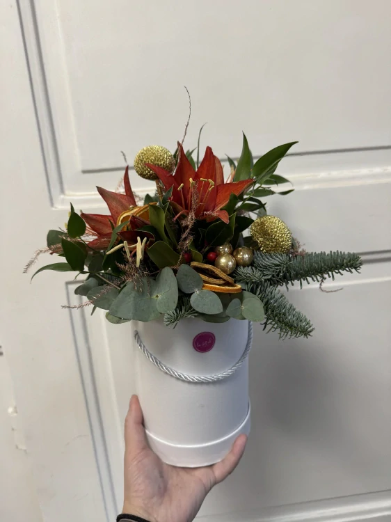 Flower box amarylis 