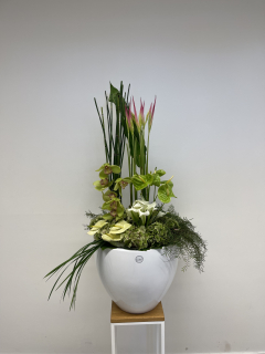 Dekorace ikebana heligonie