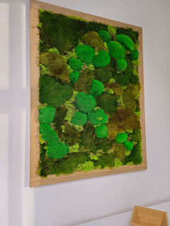 Mechový obraz Dub 123x93cm