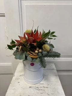 Flower box amarylis