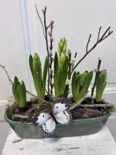 Sesazovaná nádoba s hyacinty