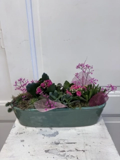Sesazovaná nádoba sukulenty a kalanchoe