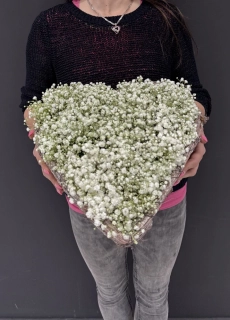 Srdce flowerbox jemná Gypsofila