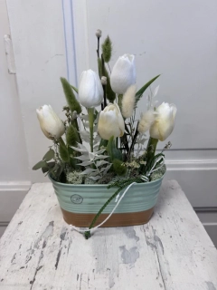 Tulipánové jaro 