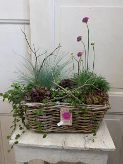 Rozkvetlá louka v ratanovém koši 🌸🌿