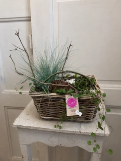 Přírodní harmonie v ratanovém koši 🌿