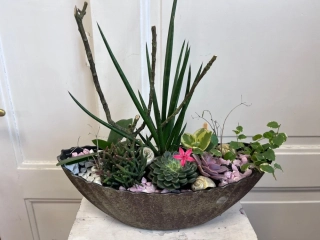 Přírodní elegance s růžovým akcentem 🌿🌸
