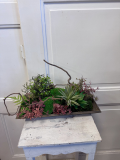 Botanická elegance