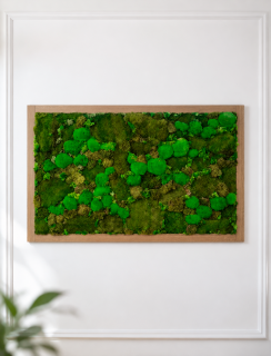 Mechová stěna Forest Green – Dub