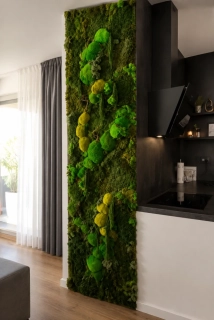 Vertikální mechová stěna Forest Moss – 220 × 60 cm